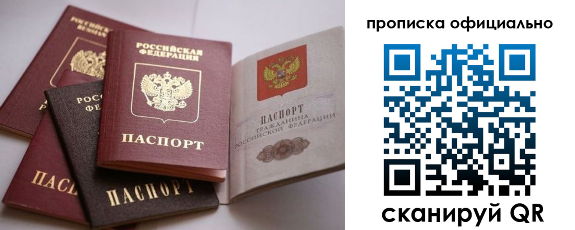 временная регистрация поиск в Ивантеевке